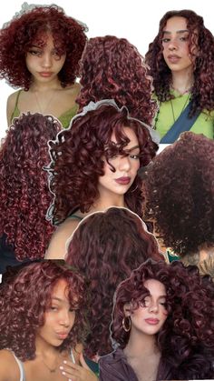 Cherry Red Hair Color, Cherry Cola Hair Color, Cherry Hair Colors, Red Hair Color Ideas, Cherry Red Hair, Dyed Curly Hair, Natural Curly Hair Cuts, Mixed Curly Hair, Colored Hair Tips