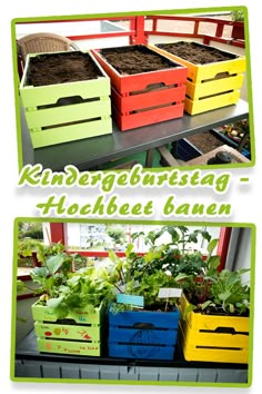 several colorful boxes filled with plants on top of a shelf