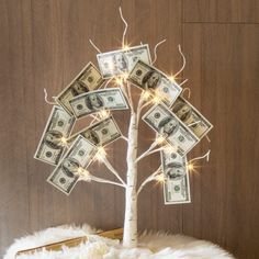 the money tree is decorated with lights and dollars