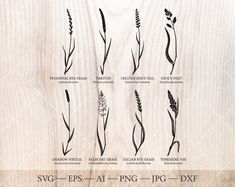 "Grass SVG bundle. 8 botanical wild grass silhouette SVG drawings - Perennial rye-grass, Timothy, Crested dog's-tail, Cock's-foot, Meadow foxtail, False oat-grass, Italian rye-grass, Yorkshire fog. Suitable for physical or digital projects. **Listing is for Digital product only and Instant download** Digital file bundle contains vector cut files and high resolution (300 dpi) raster files. All files are zipped in \"zip\" file. Included files: 8 SVG files (for Cricut Design Space, Silhouette Studi Grass Clip Art, Wheat Tattoo, Grass Silhouette, Rye Grass, Grass Drawing, Plant Svg, Bermuda Grass, Wild Grass, Floral Clipart