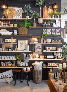 a store with shelves filled with plants and other items on it's walls,