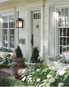 a white house with lots of windows and plants