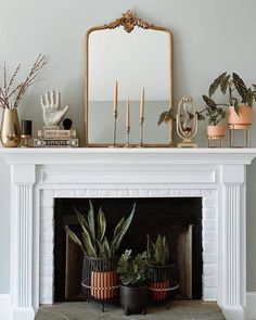 a fireplace with potted plants on top and a mirror above the fire mantel