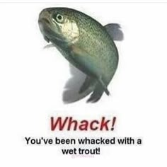 an image of a fish with the caption'whack you've been wracked with a wet trout '