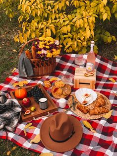 a picnic blanket with food and drinks on it