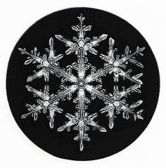 a black and white snowflake is shown in the shape of a circular object