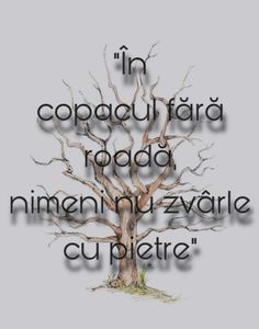 a tree with the words in spanish above it