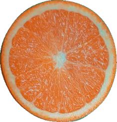 an orange cut in half on a white background