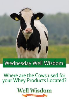 Where are Well Wisdom's cows located? Great question! The farms which supply the milk for Proserum® are based in South Australia. This is a temperate climate zone which allows the cows to live outdoors and graze year round. 🐮 🌱 Whey Protein Powder