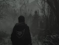 a person standing in front of a gate on a foggy day with trees and bushes