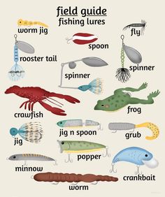 a poster with different types of fishing lures