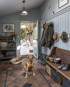 a dog is sitting in the entry way