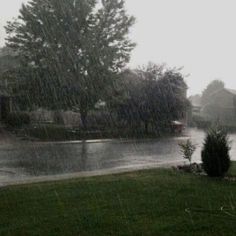 an image of rain coming down on the grass and trees in front of a house