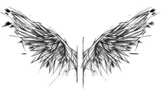 an artistic black and white drawing of wings