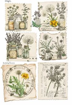 four different images of flowers and jars with labels on the bottom one has yellow flowers in them