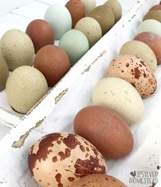 an assortment of different colored eggs sitting in a row on top of a white box