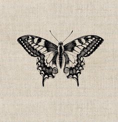 a black and white butterfly on a beige background