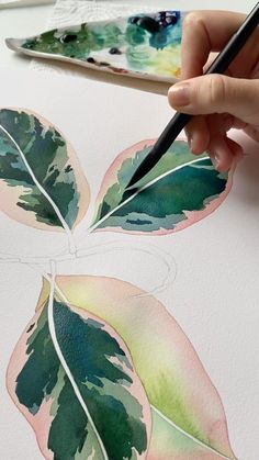 a person is drawing leaves with watercolors on paper