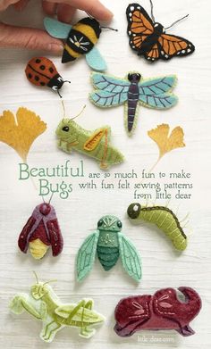 an image of some bugs and butterflies on a white surface with words written below it