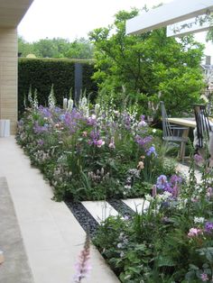 the garden is full of purple and white flowers