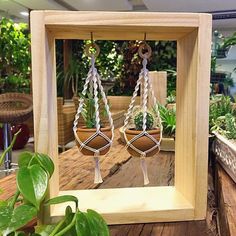 two plant hangers with plants in them on a wooden table next to potted plants