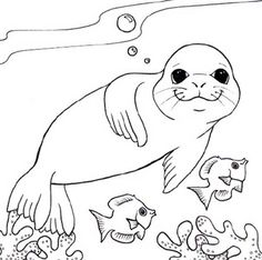 the seal is swimming in the water with other fish and sea creatures around him, coloring page