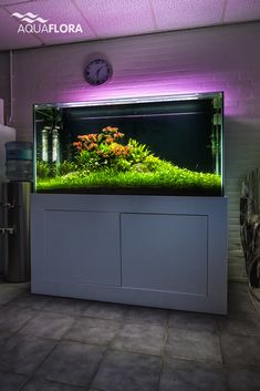 a fish tank with plants and flowers in front of a clock mounted on the wall