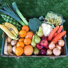 a box filled with lots of different types of fruit and veggies on top of green grass