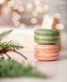 three macaroons stacked on top of each other next to a pine branch and christmas lights