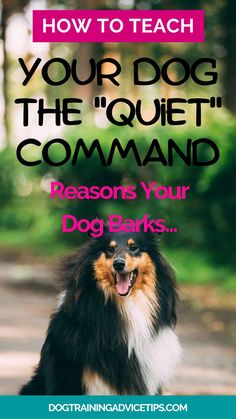 a dog with the words how to teach your dog the quiet command command command command command command