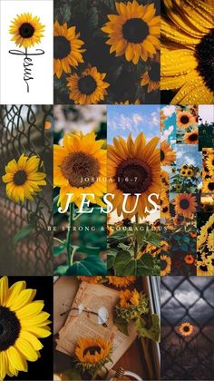 sunflowers and other flowers are shown in this collage with the words jesus