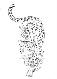 a black and white drawing of a leopard walking on the ground with leaves in its mouth