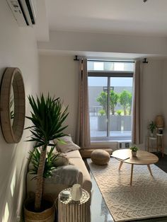 a living room filled with furniture and a large window next to a wall mounted plant