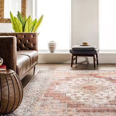 a living room filled with furniture and a rug