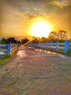 the sun is setting over an empty road with blue fences and trees on either side