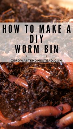 how to make a diy worm bin for worms in the garden with text overlay