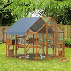 a wooden chicken coop with two cats in it and one cat laying on the ground