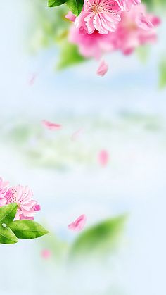 pink flowers with green leaves flying in the air