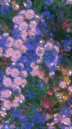 many different colored flowers in the grass