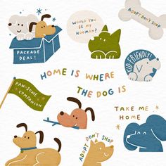 there are many dogs and cats in the box with their names on it, including one that says home is where the dogs take me home