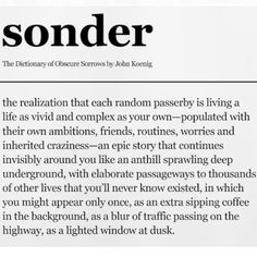 Adam Grant | Sonder was coined by John Koenig in The Dictionary of Obscure Sorrows, and I think about it every day now | Instagram Epic Story, Favorite Quotes, No Worries