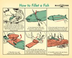 instructions on how to fill a fish