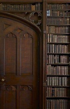 an open door to a library with books on the shelves and in front of it is a bookcase full of books