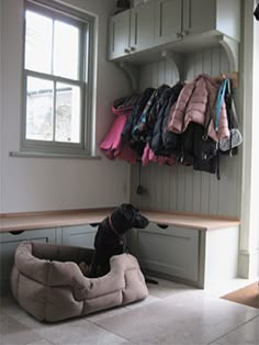 a dog is sitting in his bed under the window