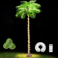 a palm tree with lights on it next to an inflatable ring and remote control