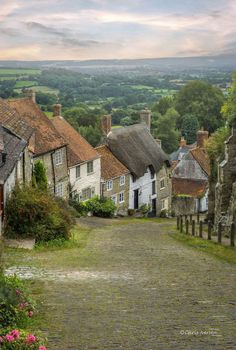 an old cobblestone road leading to some houses in the countryside with flowers growing on either side