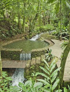 there is a small waterfall in the middle of the forest with a wooden walkway leading to it