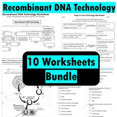 the worksheet is shown with an image of a stethoscope on it