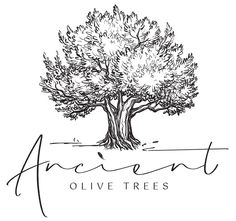 an olive tree with the words ancient olive trees written in black ink on a white background