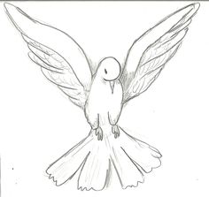 a drawing of a bird with its wings spread